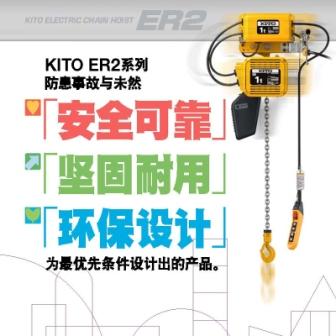 ER2 电动运行式